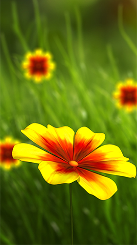 Scarica gratis sfondi animati Flower 360 3D per telefoni di Android e tablet.