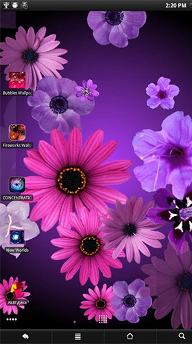 Scarica gratis sfondi animati Flowers by PanSoft per telefoni di Android e tablet.