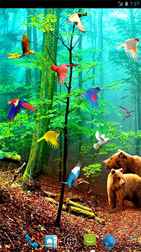 Scarica gratis sfondi animati Forest birds per telefoni di Android e tablet.