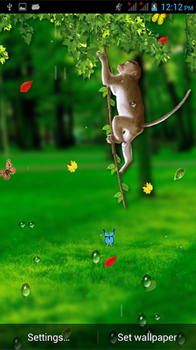 Scarica gratis sfondi animati Funny monkey by Galaxy Launcher per telefoni di Android e tablet.