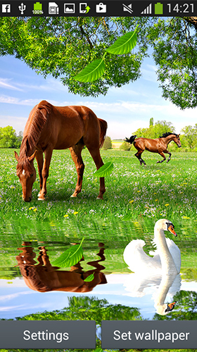 Scarica gratis sfondi animati Horses by Latest Live Wallpapers per telefoni di Android e tablet.
