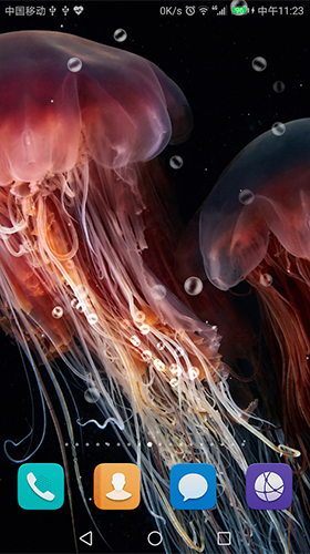 Scarica gratis sfondi animati Jellyfish by live wallpaper HongKong per telefoni di Android e tablet.