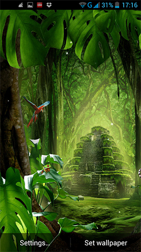 Scarica gratis sfondi animati Jungle by LWP World per telefoni di Android e tablet.