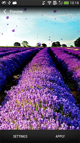 Lavender - scaricare Paesaggio sfondi animati per Android di cellulare gratuitamente.