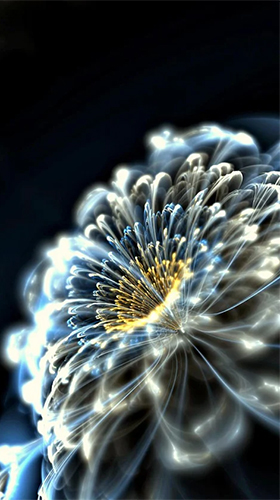 Luminous flowers - scaricare Fiori sfondi animati per Android di cellulare gratuitamente.
