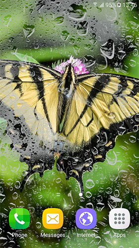 Macro butterflies - scaricare Animali sfondi animati per Android di cellulare gratuitamente.