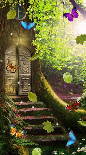 Magic forest - scaricare Paesaggio sfondi animati per Android di cellulare gratuitamente.