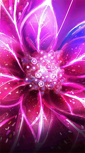 Scarica gratis sfondi animati Neon flowers by Art LWP per telefoni di Android e tablet.
