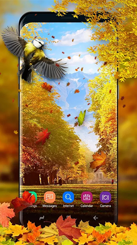 Scarica gratis sfondi animati Picturesque nature per telefoni di Android e tablet.
