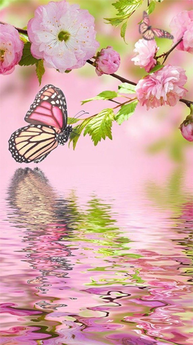 Scarica gratis sfondi animati Pink butterfly by Live Wallpaper Workshop per telefoni di Android e tablet.