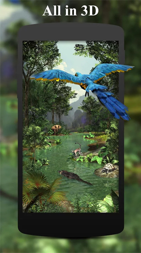 Scarica gratis sfondi animati Rainforest 3D per telefoni di Android e tablet.