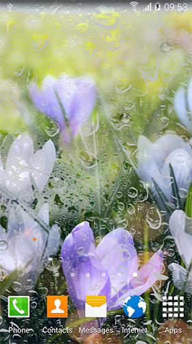 Scarica gratis sfondi animati Rainy flowers per telefoni di Android e tablet.