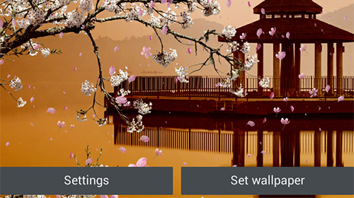 Sakura garden - scaricare Paesaggio sfondi animati per Android di cellulare gratuitamente.