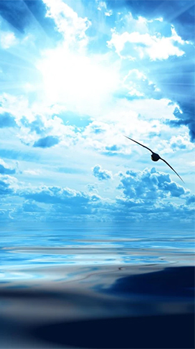 Sea and sky - scaricare Paesaggio sfondi animati per Android di cellulare gratuitamente.