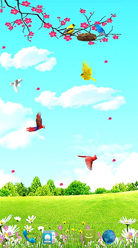 Sky birds - scaricare Animali sfondi animati per Android di cellulare gratuitamente.