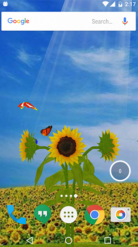Scarica gratis sfondi animati Sunflower 3D per telefoni di Android e tablet.