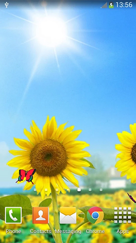 Sunflowers - scaricare Paesaggio sfondi animati per Android di cellulare gratuitamente.