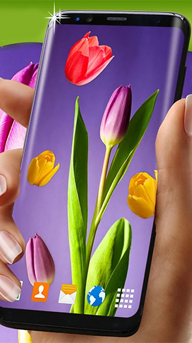 Scarica gratis sfondi animati Tulips by 3D HD Moving Live Wallpapers Magic Touch Clocks per telefoni di Android e tablet.
