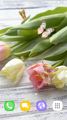 Scarica gratis sfondi animati Tulips by Live Wallpapers 3D per telefoni di Android e tablet.