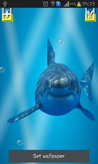 Scarica gratis sfondi animati Angry shark: Cracked screen per telefoni di Android e tablet.