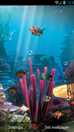 Scaricare Aquarium by minatodev — sfondi animati gratuiti per l'Android su un Desktop. 