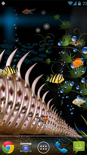 Scaricare Aquarium by orchid — sfondi animati gratuiti per l'Android su un Desktop. 