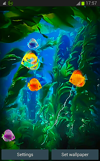 Aquarium 3D by Pups apps - scaricare sfondi animati per Android 4.4.2 di cellulare gratuitamente.