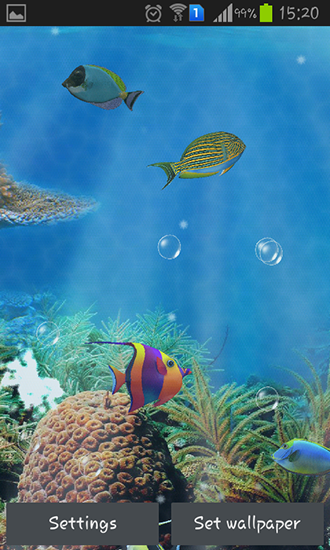 Aquarium and fish - scaricare sfondi animati per Android 4.4.2 di cellulare gratuitamente.