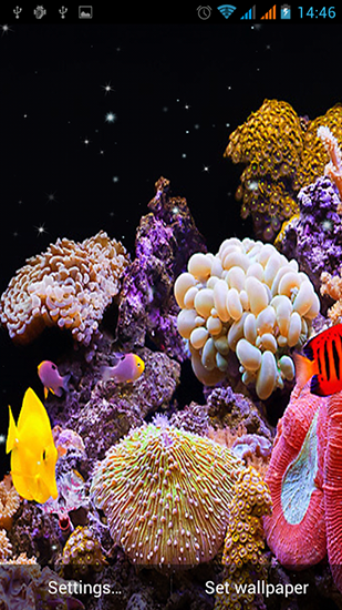 Scarica gratis sfondi animati Aquarium by Best Live Wallpapers Free per telefoni di Android e tablet.