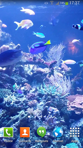 Scarica gratis sfondi animati Aquarium HD 2 per telefoni di Android e tablet.