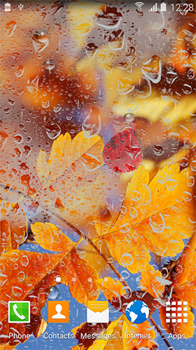 Scaricare Autumn HD by BlackBird Wallpapers — sfondi animati gratuiti per l'Android su un Desktop. 