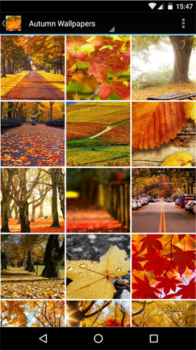 Scaricare Autumn wallpapers by Infinity — sfondi animati gratuiti per l'Android su un Desktop. 