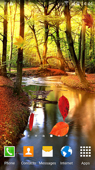 Autumn forest - scaricare Paesaggio sfondi animati per Android di cellulare gratuitamente.