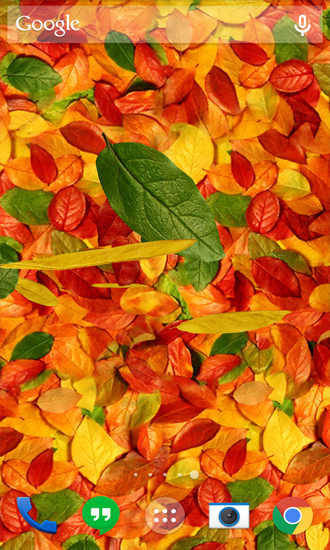 Scarica gratis sfondi animati Autumn Leaves per telefoni di Android e tablet.