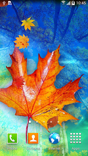 Autumn leaves - scaricare Paesaggio sfondi animati per Android di cellulare gratuitamente.