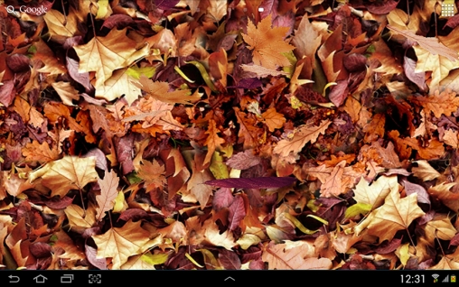Autumn leaves 3D - scaricare sfondi animati per Android 1 di cellulare gratuitamente.