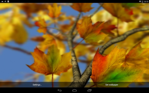 Scarica gratis sfondi animati Autumn leaves 3D by Alexander Kettler per telefoni di Android e tablet.