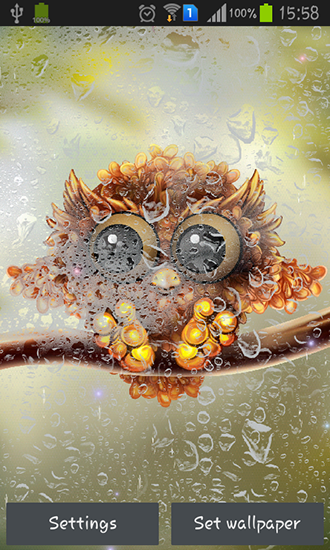 Autumn little owl - scaricare sfondi animati per Android 3.0 di cellulare gratuitamente.