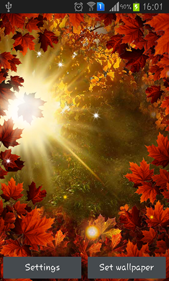 Autumn sun - scaricare sfondi animati per Android 4.0.4 di cellulare gratuitamente.