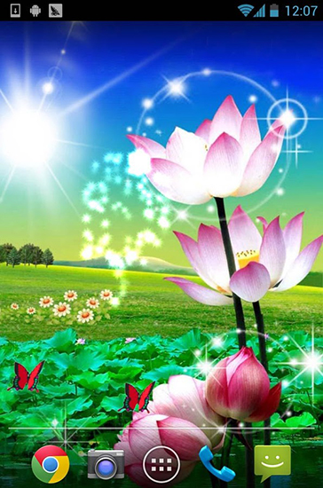 Scarica gratis sfondi animati Beautiful lotus per telefoni di Android e tablet.