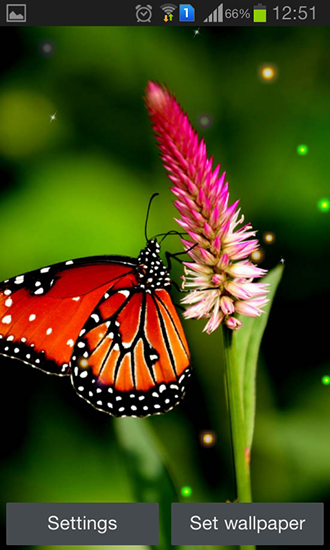 Scarica gratis sfondi animati Best butterfly per telefoni di Android e tablet.