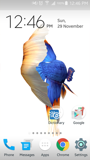 Scaricare Betta Fish 3D — sfondi animati gratuiti per l'Android su un Desktop. 