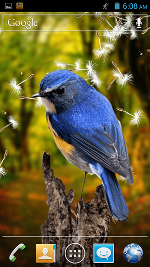 Scarica gratis sfondi animati Birds 3D per telefoni di Android e tablet.
