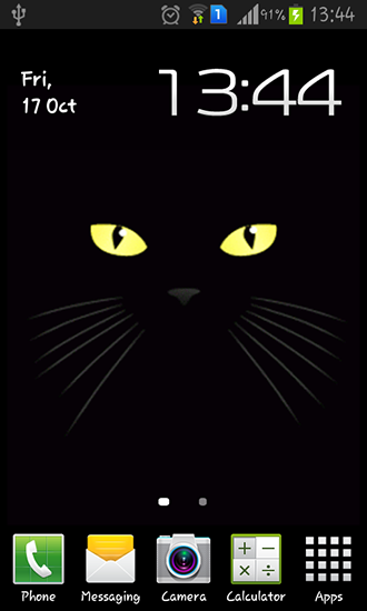 Scarica gratis sfondi animati Black cat per telefoni di Android e tablet.