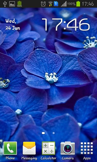 Scarica gratis sfondi animati Blue flowers per telefoni di Android e tablet.
