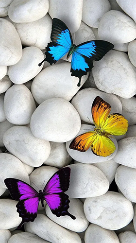 Scaricare Butterflies by Happy live wallpapers — sfondi animati gratuiti per l'Android su un Desktop. 