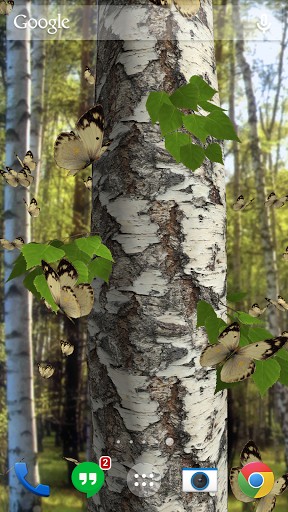 Butterflies 3D - scaricare Animali sfondi animati per Android di cellulare gratuitamente.