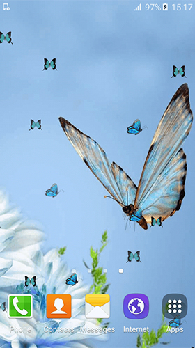 Scaricare Butterfly by Free Wallpapers and Backgrounds — sfondi animati gratuiti per l'Android su un Desktop. 