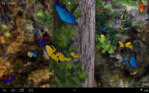 Butterfly 3D - scaricare sfondi animati per Android 4.0. .�.�. .�.�.�.�.�.�.�.� di cellulare gratuitamente.