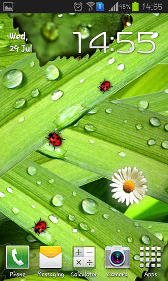 Camomiles and ladybugs - scaricare Fiori sfondi animati per Android di cellulare gratuitamente.